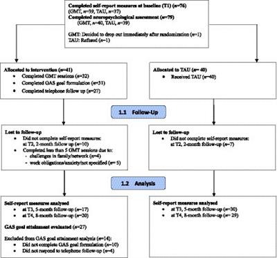 Improvement of anxiety in ADHD following goal-focused cognitive remediation: a randomized controlled trial